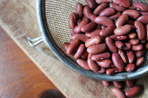 Shiloh Farms Kidney Beans, Light Red Organic